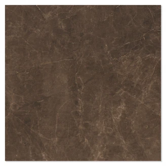 Marmor Klinker Acra Mörkbrun Matt 60x60 cm